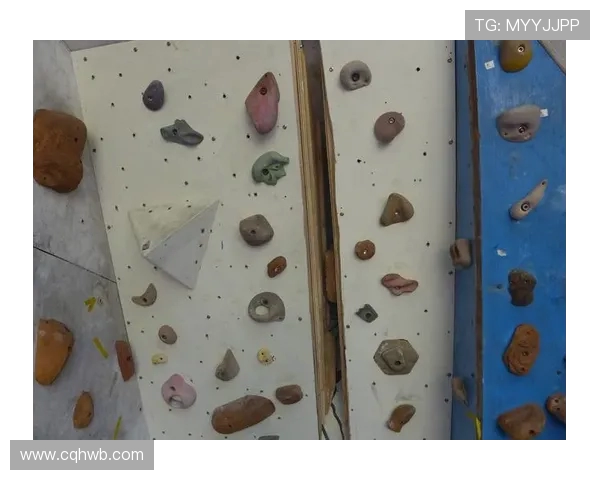 专访攀岩高手陈伟揭秘成功秘诀与训练心得分享