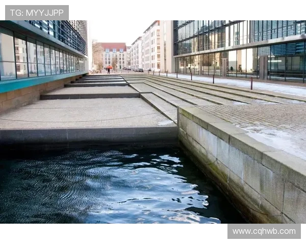 法国与丹麦比赛技术统计分析全面解读