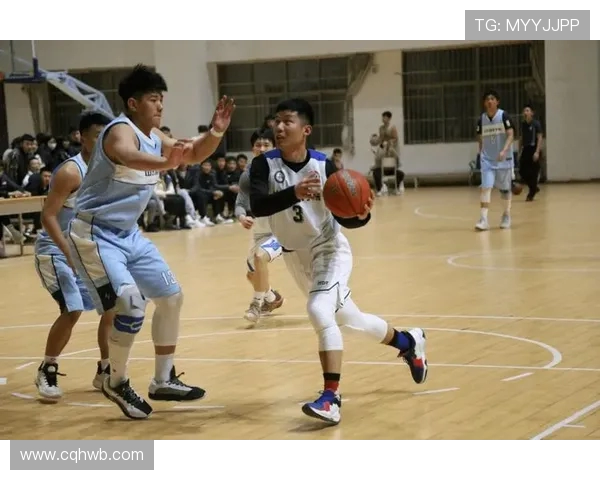 青岛与山东的精彩对决回顾山东体育录像全景呈现