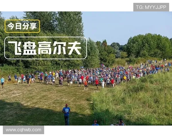 北京飞盘队整体表现分析：压制对手与自身不足的双重考量