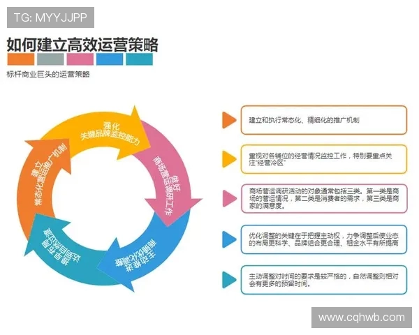 深入分析上海飞盘队的运营策略与发展模式探秘