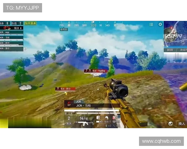 和平精英热点分析：深入探讨TES团队的运营策略与发展方向