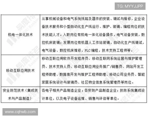 数据分析：上海羽毛球队的技术表现